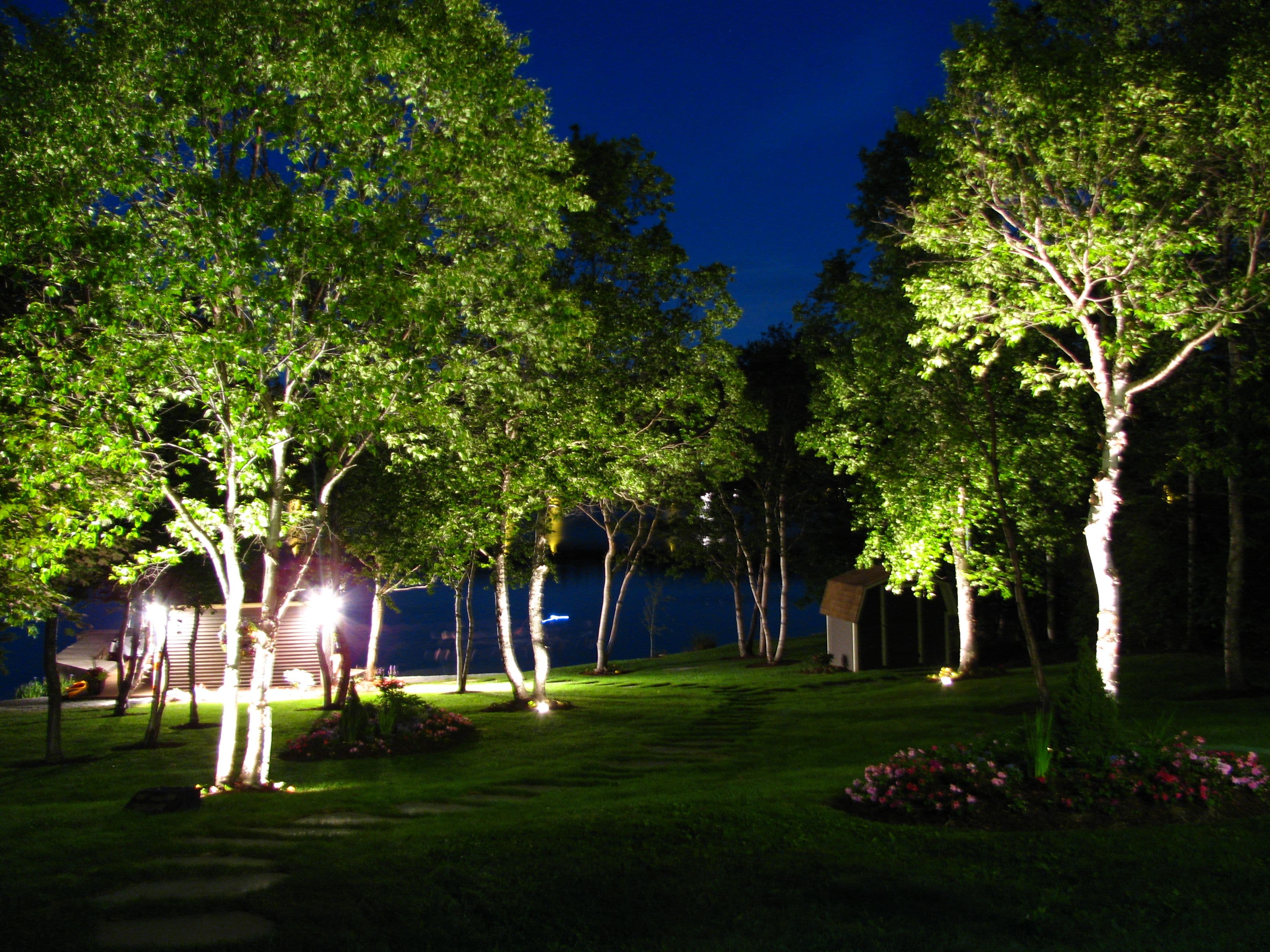 Light tree. Подсветка деревьев. Подсветка деревьев в саду. Подсветка для деревьев уличная. Подсветка деревьев прожекторами.